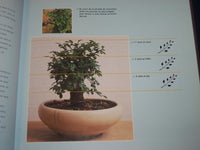 2001 TOTALEMENT BONSAI HARDCOVER BOOK BY CRAIG COUSSINS - NICE PHOTOS - KD 2750