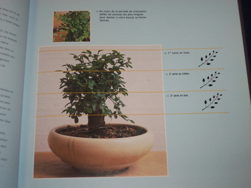 2001 TOTALEMENT BONSAI HARDCOVER BOOK BY CRAIG COUSSINS - NICE PHOTOS - KD 2750