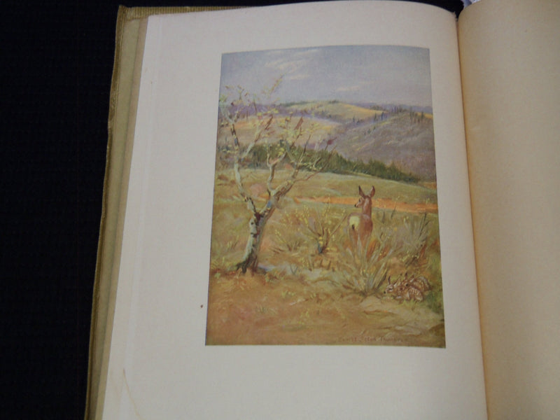 1899 THE TRAIL OF THE SANDHILLSTAG BOOK BY ERNEST SETON-THOMPSON - KD 3369D