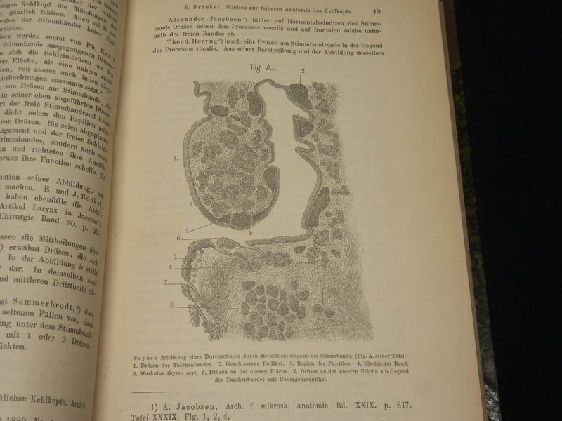 1894-1904 ARCHIV FUR LARYNGOLOGIE UND RHINOLOGIE GERMAN VOLUMES LOT OF 13 - KD 9