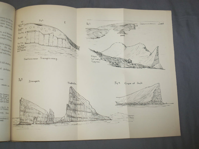 1894 NOTES ON SOME FOSSIL PLANTS FROM DOULTON'S DELPH, ST. HELENS - J 4865