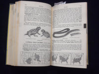 1959 COMPLETE FIELD GUIDE TO AMERICAN WILDLIFE HARDCOVER BOOK - KD 8682