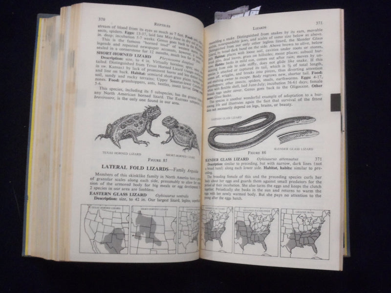 1959 COMPLETE FIELD GUIDE TO AMERICAN WILDLIFE HARDCOVER BOOK - KD 8682
