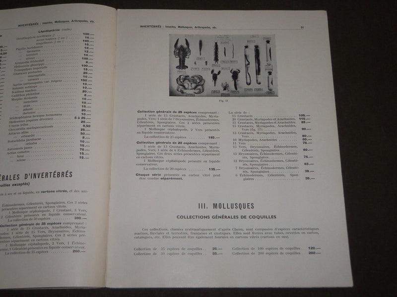 1961 N. BOUBEE & CIE. COLLECTIONS D'HISTOIRE NATURELLE FRENCH CATALOGUE - FR 507