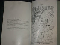 1912 THE ARTIFICIAL USE OF THE BROWN-TAIL FUNGUS OF MASSACHUSETTS- PLATES-J 4385