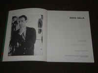 1988 DAVID SALLE FUNDACION CAJA DE PENSIONES BOOK - SPANISH - D 211