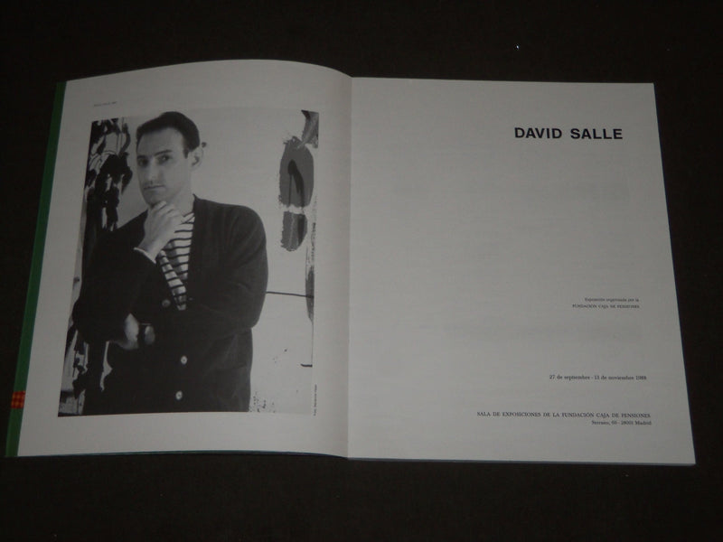 1988 DAVID SALLE FUNDACION CAJA DE PENSIONES BOOK - SPANISH - D 211