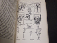 1930 THE HOME GARDEN HANDBOOKS - IRISES BY F. F. ROCKWELL - KD 5810