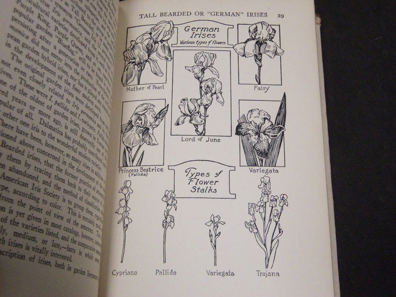 1930 THE HOME GARDEN HANDBOOKS - IRISES BY F. F. ROCKWELL - KD 5810