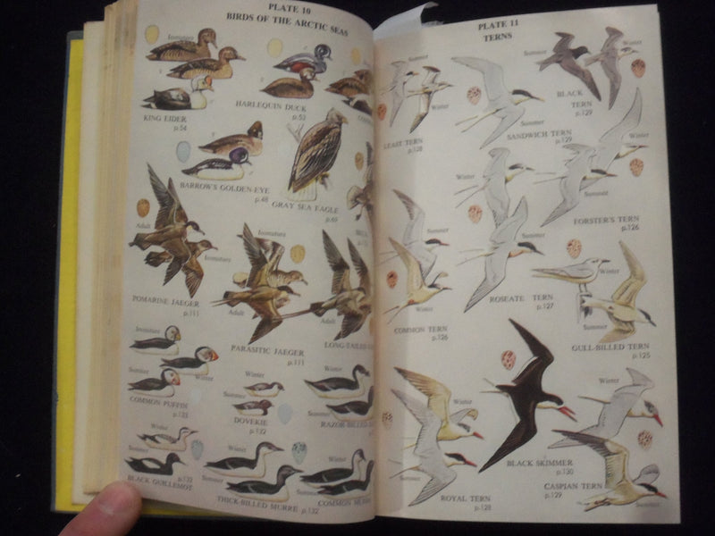 1959 COMPLETE FIELD GUIDE TO AMERICAN WILDLIFE HARDCOVER BOOK - KD 8682