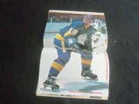 1976 MARCH HOCKEY ILLUSTRATED MAGAZINE-ESPOSITOIN COVER- DIONNE POSTER - B 6235H