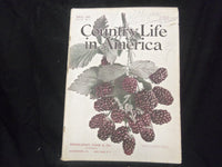 1904 JULY COUNTRY LIFE IN AMERICA MAGAZINE-GREAT PHOTOS AND ADS - ST 1114