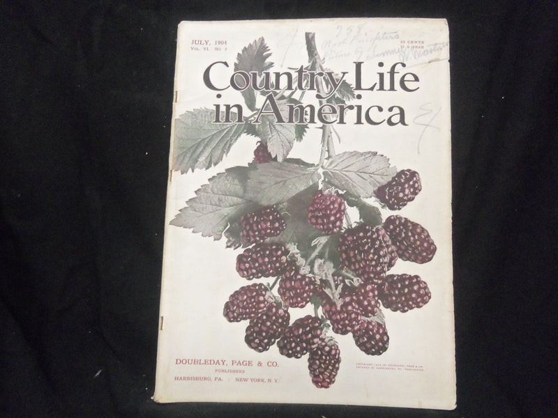 1904 JULY COUNTRY LIFE IN AMERICA MAGAZINE-GREAT PHOTOS AND ADS - ST 1114