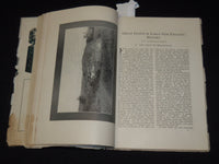1909 MARCH NEW ENGLAND MAGAZINE - LAWSON'S THE FUTURE OF OUR COUNTRY - K 31