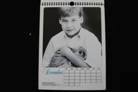 1991 THE WALES FAMILY ROYAL CALENDAR - K 2469