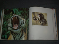 1997 PHOTOGRAPHY INDEX I - HARD COVER BOOK - I 1830