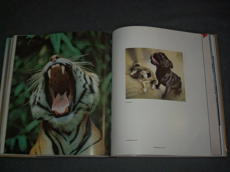 1997 PHOTOGRAPHY INDEX I - HARD COVER BOOK - I 1830