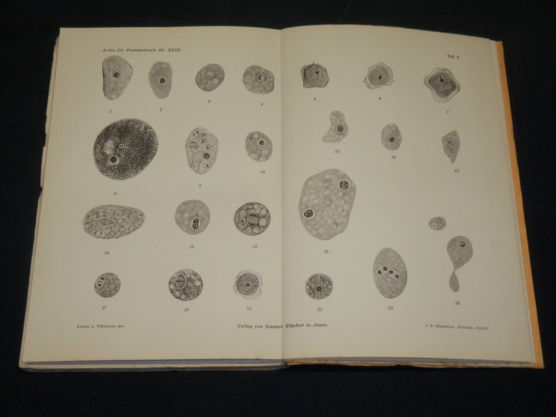 1909-1912 ARCHIV FUR PROTISTENKUNDE GERMAN VOLUME LOT OF 32 - GERMAN - WR 335C
