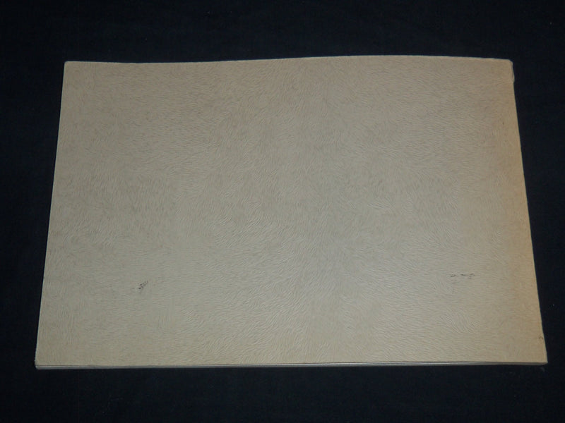 1974 A PICTORIAL HISTORY OF THE BLUE MOUNTAINS BOOK - SOFTCOVER - J 8715