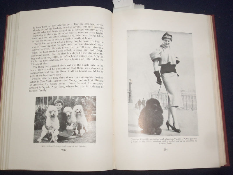 1951 THE COMPLETE POODLE HARDCOVER BOOK BY LYDIA HOPKINS - KD 9091