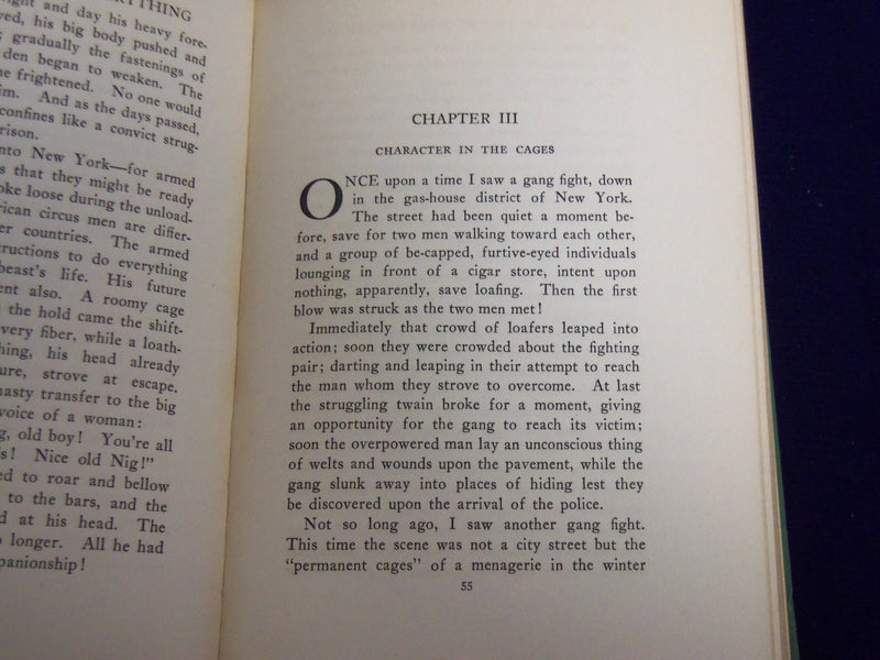 1925 LIONS 'N' TIGERS EVERYTHING HARDCOVER BOOK BY COURTNEY COOPER - KD 3867P