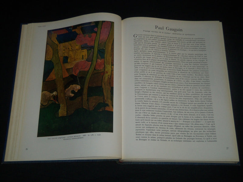 1953 PEINTURE MODERNE BOOK - MAURICE RAYNAL - ALBERT SKIRA - NICE ILLUS - R 275I