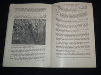 1921 WILD FIRE RESOURCES OF LOUISIANA DEPT OF CONSERVATION M. ALEXANDER- J 8716