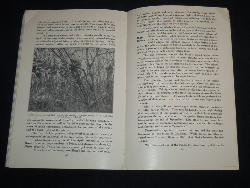 1921 WILD FIRE RESOURCES OF LOUISIANA DEPT OF CONSERVATION M. ALEXANDER- J 8716