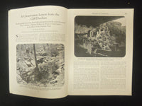 1924 NOVEMBER AMERICAN FORESTS & FOREST LIFE MAGAZINE - ST 4608