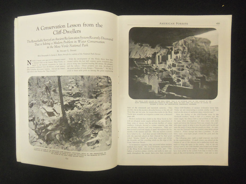 1924 NOVEMBER AMERICAN FORESTS & FOREST LIFE MAGAZINE - ST 4608