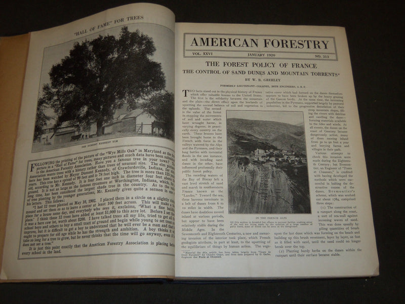 1920 JAN-DEC AMERICAN FORESTRY MAGAZINE BOUND VOLUME - COVERS & ADS - R 400
