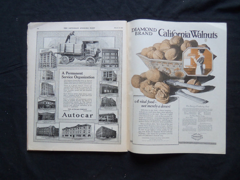 1919 MARCH 15 THE SATURDAY EVENING POST MAGAZINE - NEYSA MCMEIN COVER - SP 922