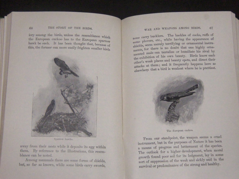 1899 THE STORY OF THE BIRDS BY JAMES NEWTON BASKETT BOOK - KD 5779