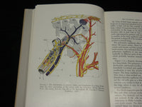 1954-1957 THE LUNG CLINICAL PHYSIOLOGY BOOKS LOT OF 2 - DRINKER - KD 2769V