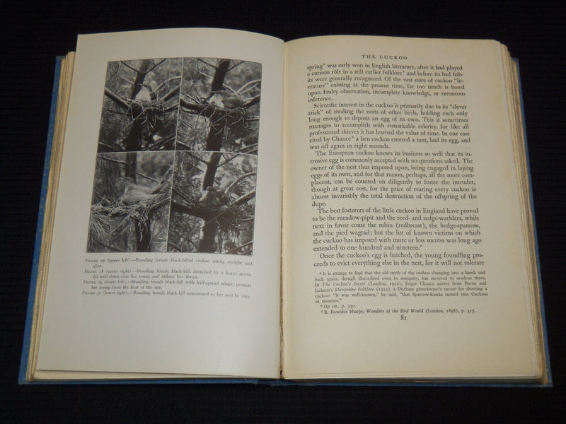 1935 WILD BIRDS AT HOME HARDCOVER BOOK BY FRANCIS HERRICK - KD 7747