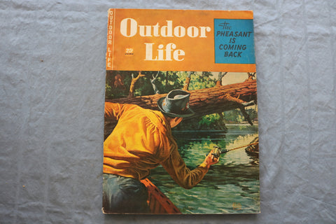 1946 JUNE OUTDOOR LIFE MAGAZINE - THE PHEASANT IS COMING BACK COVER - SP 6182K