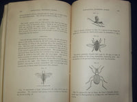 1888 MAINE STATE COLLEGE ANNUAL REPORT - PART II - J 4449