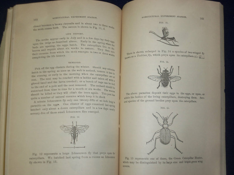 1888 MAINE STATE COLLEGE ANNUAL REPORT - PART II - J 4449