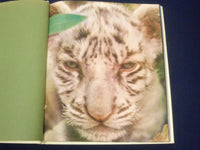 1977 THE SMITHSONIAN EXPERIENCE HARDCOVER BOOK - GREAT PHOTOS - KD 2321