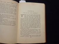 1911 THE LIGHT THAT LURESHARDCOVER BOOK BY PERCY J. BREBNER - KD 8453