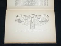 1928 PHYSIOLOGY HARDCOVER BOOK BY V. H. MOTTRAM - KD 2762D