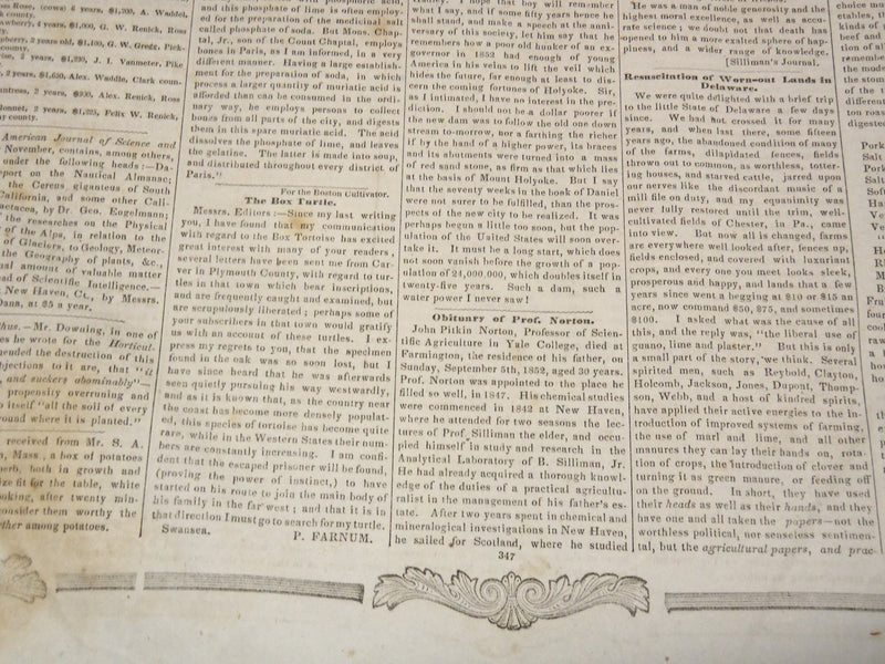 1852 OCTOBER 30 BOSTON CULTIVATOR NEWSPAPER - DANIEL WEBSTER DEATH - NP 4502B