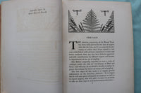 1902 THE SPECKLED TROUT HARDCOVER BOOK BY LOUIS RHEAD - KD 9696