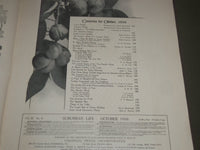 1906 OCT SUBURBAN LIFE THE COUNTRYSIDE MAGAZINE - GREAT COVER & ADS - SP 9516