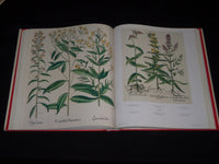 2007 THE BOOK OF PLANTS COMPLETE PLATES BOOK - BY BASILIUS BESLER - D 71