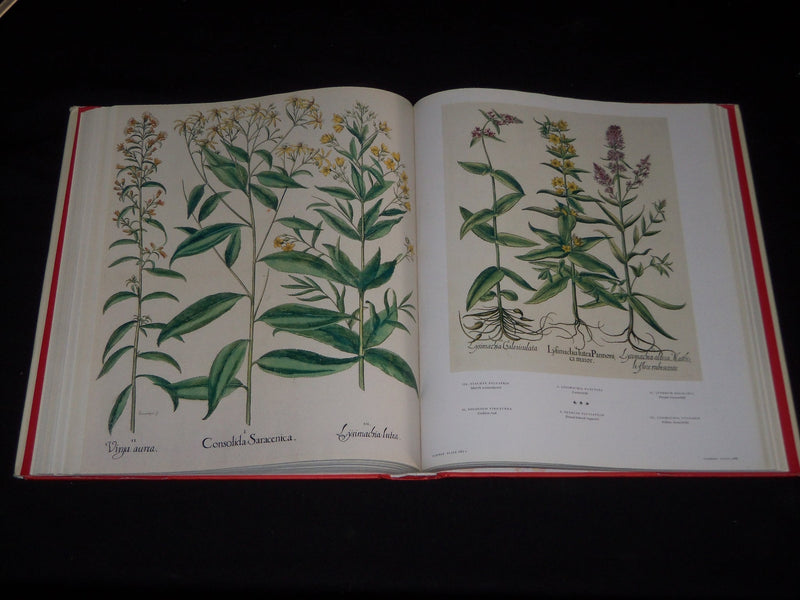 2007 THE BOOK OF PLANTS COMPLETE PLATES BOOK - BY BASILIUS BESLER - D 71