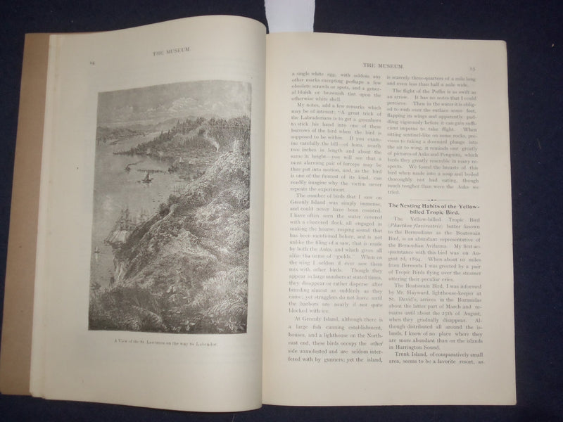 1894 NOV & DEC THE MUSEUM MAGAZINE - ISSUES #1 AND #2 - LOT OF 2 - J 9775