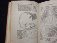 1927 THE DRAGON AND THE LOTUS HARDCOVER BOOK BY CROSBIE GARSTIN- KD 8418