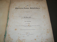 1860 DIE DIPTERN-FAUNA SUDAFRIKA'S BY DR. HERM LOEW ERSTE ABTHEILUNG - KD 2344