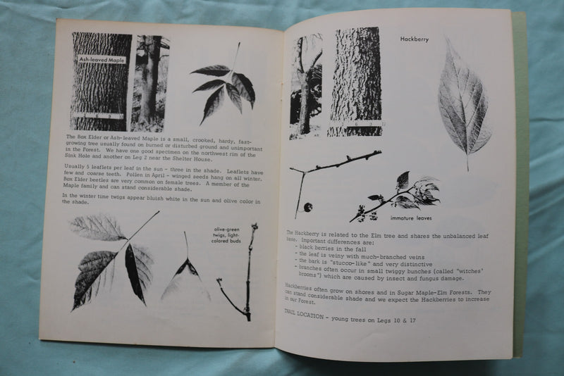 1963-1964 MADISON SCHOOL FOREST - LOT OF 2 - SOFTCOVER BOOKS - K 3271